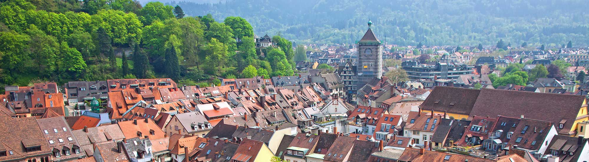 Über den Dächern von Freiburg im Breisgau